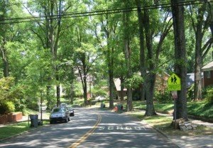 tree lined street in dilworth charlotte nc