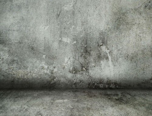 Here’s Why You Should Never Use Bleach To Clean A Cement Floor